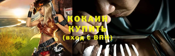 spice Богородск