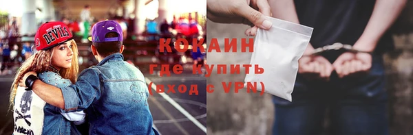 spice Богородск