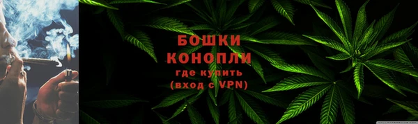 spice Богородск