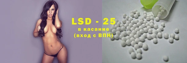первитин Богданович