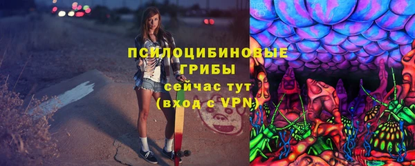 spice Богородск