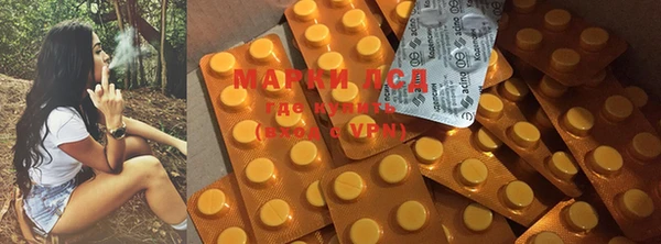 первитин Богданович