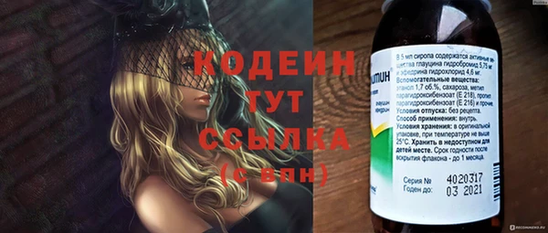 первитин Богданович