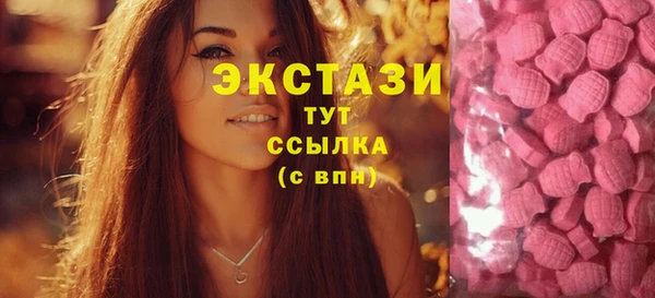 spice Богородск