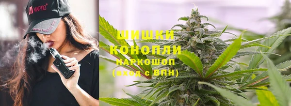 spice Богородск