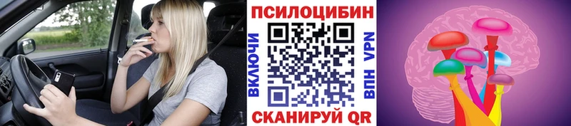 Псилоцибиновые грибы Psilocybe  darknet как зайти  Шахты 